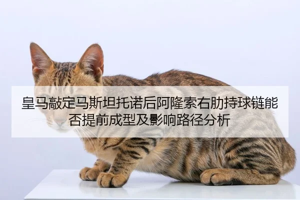 皇马敲定马斯坦托诺后阿隆索右肋持球链能否提前成型及影响路径分析