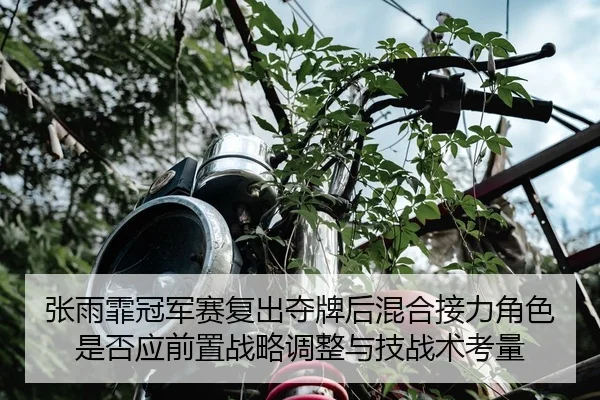 张雨霏冠军赛复出夺牌后混合接力角色是否应前置战略调整与技战术考量